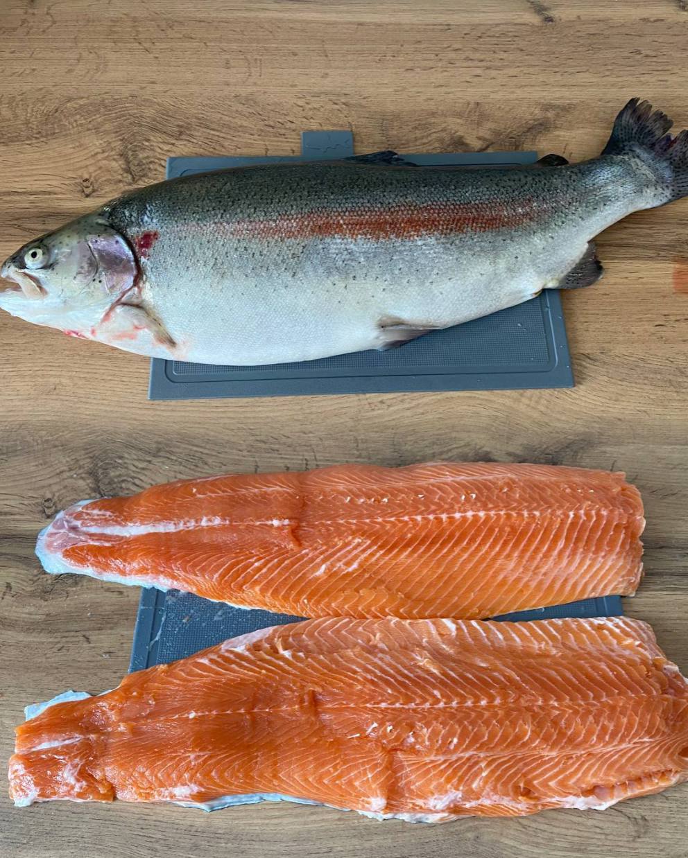 Форель с форелевого хозяйства - Животные в Пенза