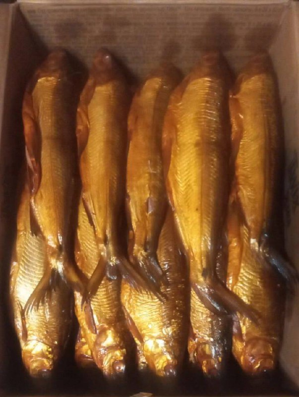 Сиг горячего копчения из озера Севан - частное объявление в Ростов-на-Дону