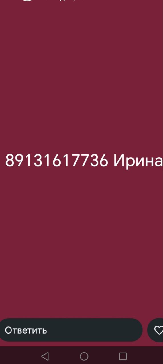 Продаются два джека-рассел-терьера - Животные в Норильск - фото 3