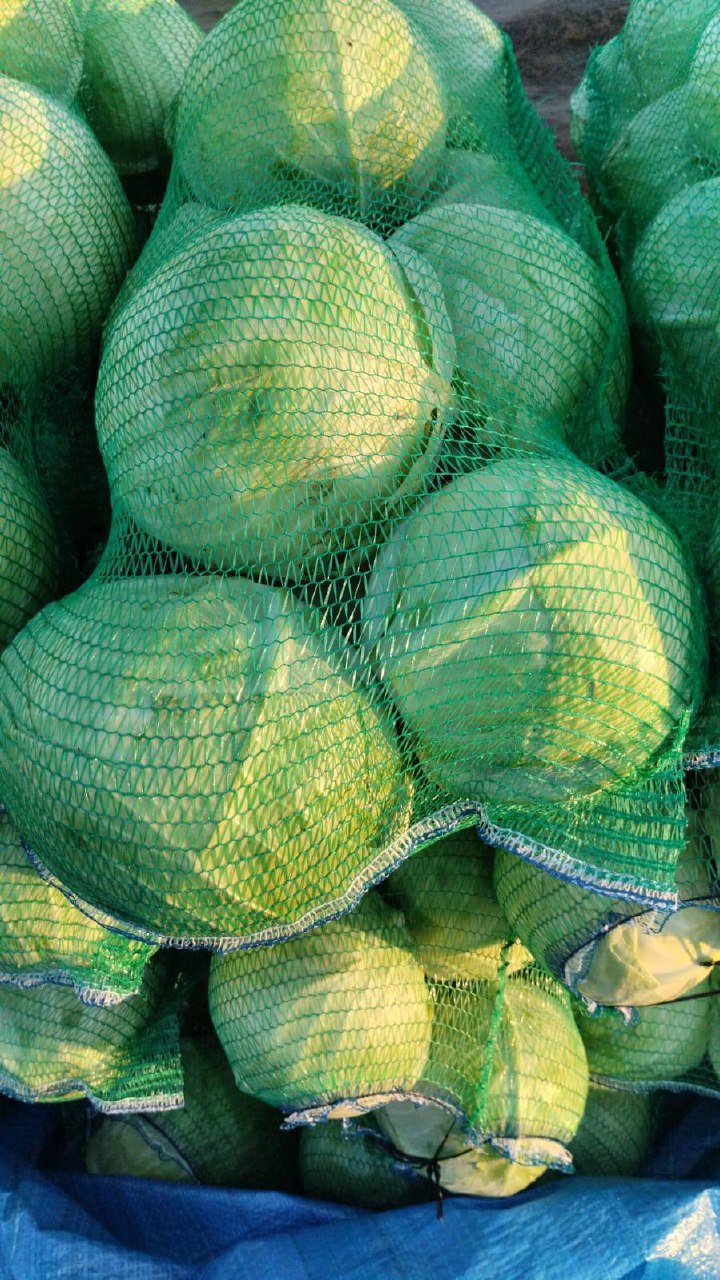 Продажа капусты и моркови - Для дома и дачи в Минусинск