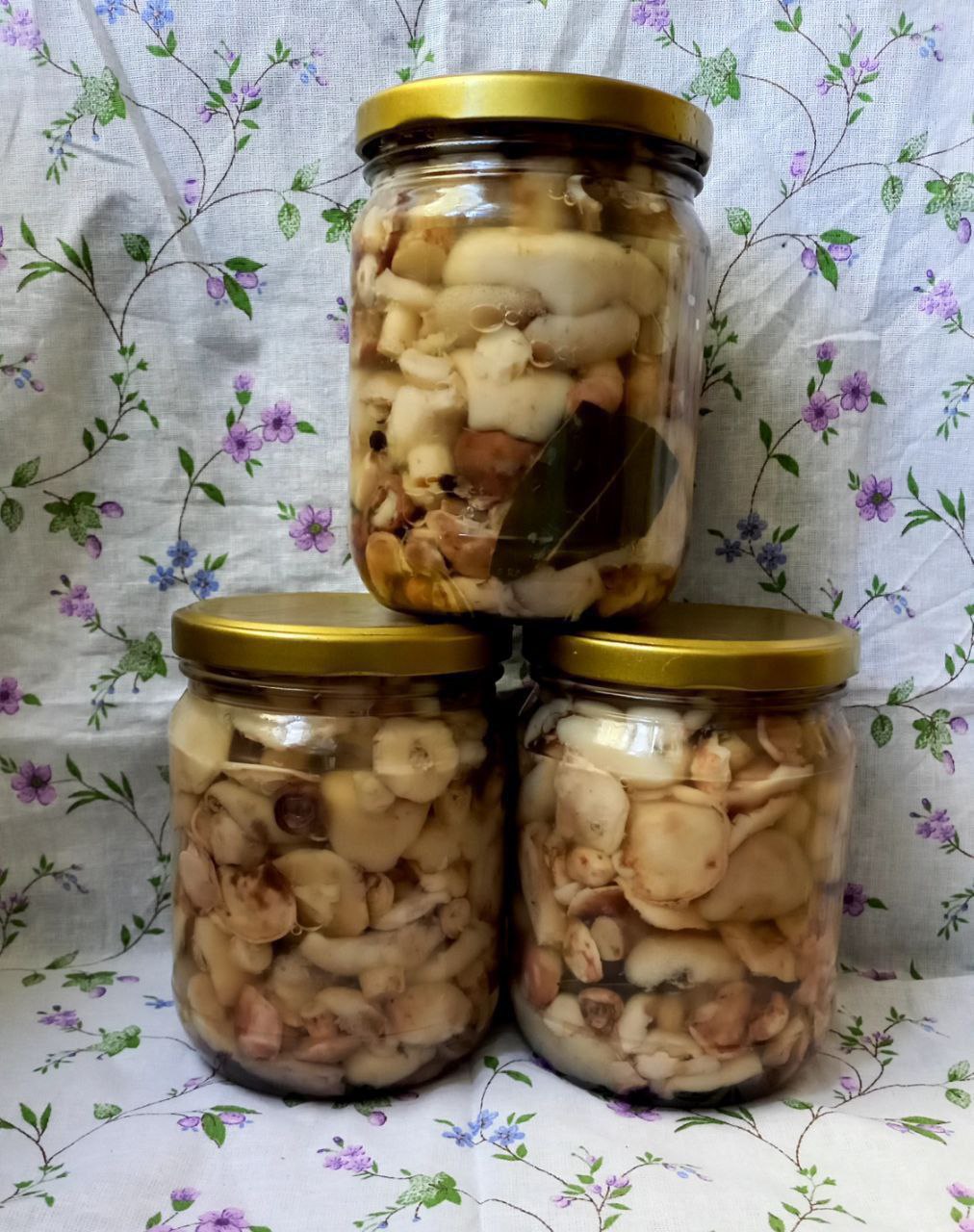 Продам домашние заготовки - Хобби и отдых в Минусинск