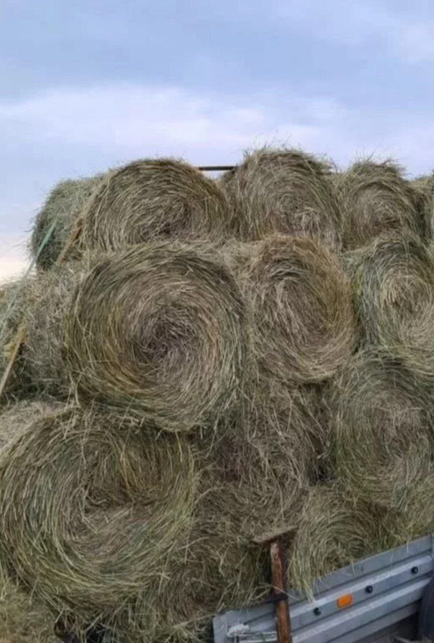 Сено в рулонах - Для дома и дачи в Минусинск