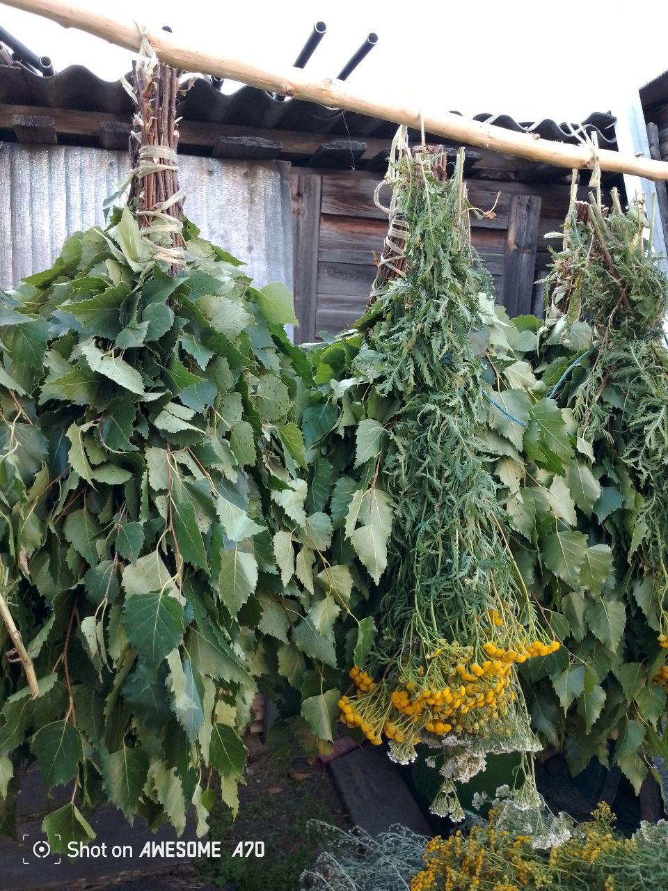 Веники березовые кедровые липовые с травами - Хобби и отдых в Кемерово