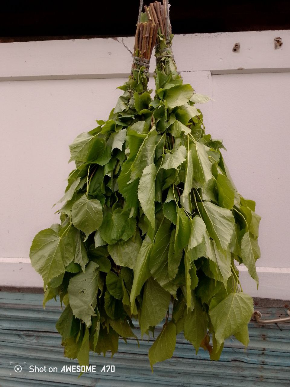 Веники березовые кедровые липовые с травами - Хобби и отдых в Кемерово - фото 4