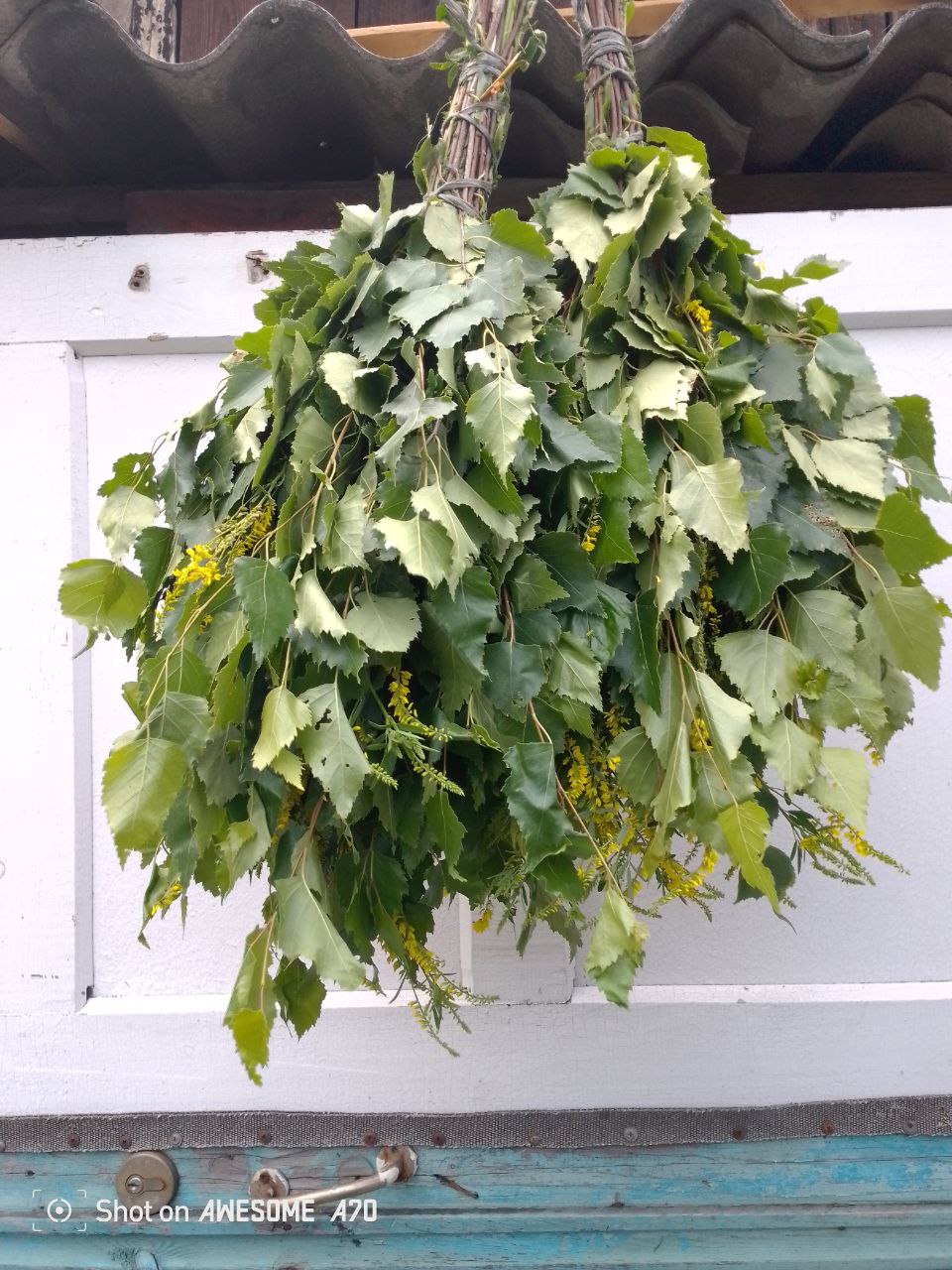 Веники березовые кедровые липовые с травами - Хобби и отдых в Кемерово - фото 6