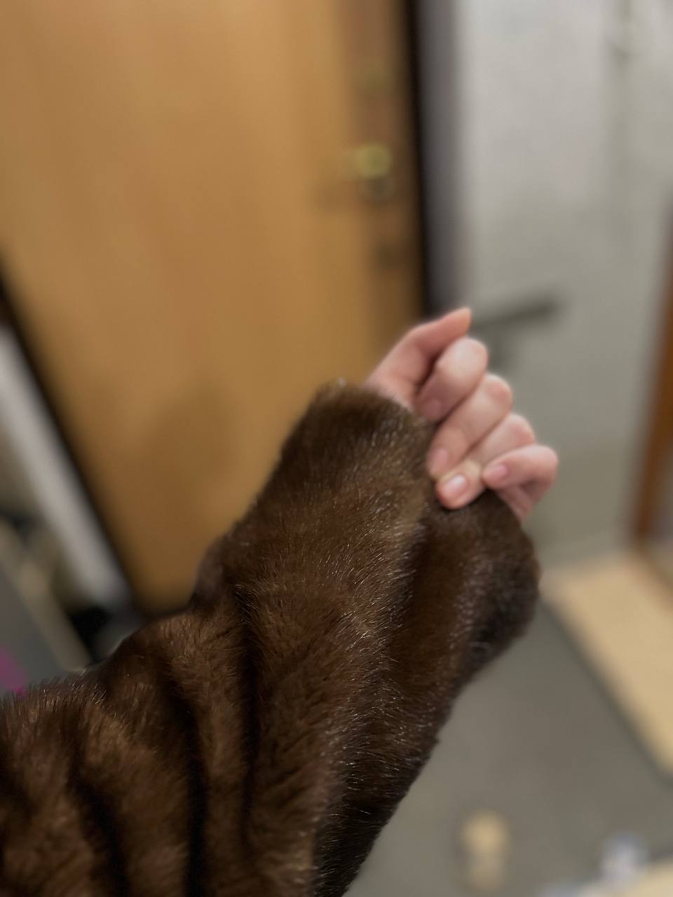 Продам норковую шубу - Одежда в Томск - фото 4