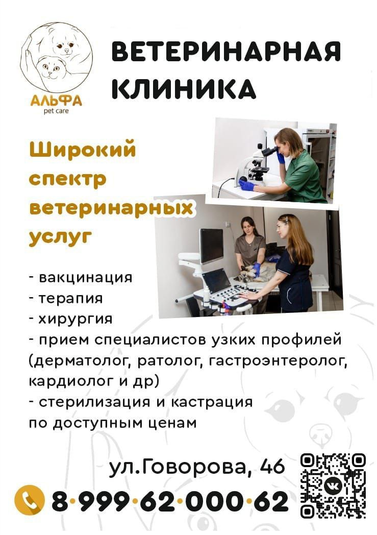Ветеринарная клиника АЛЬФА pet care - Услуги в Томск