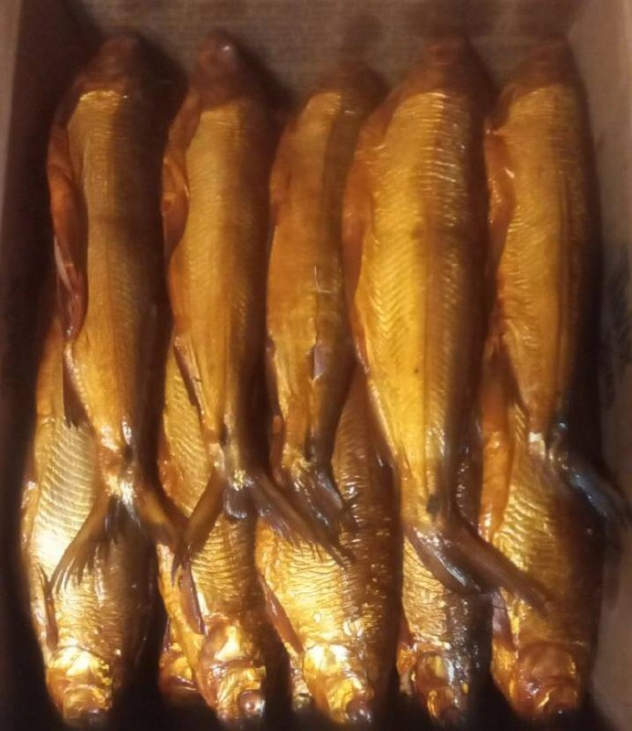 Рыбка Сиг Горячего Копчения - Хобби и отдых в Ставрополь