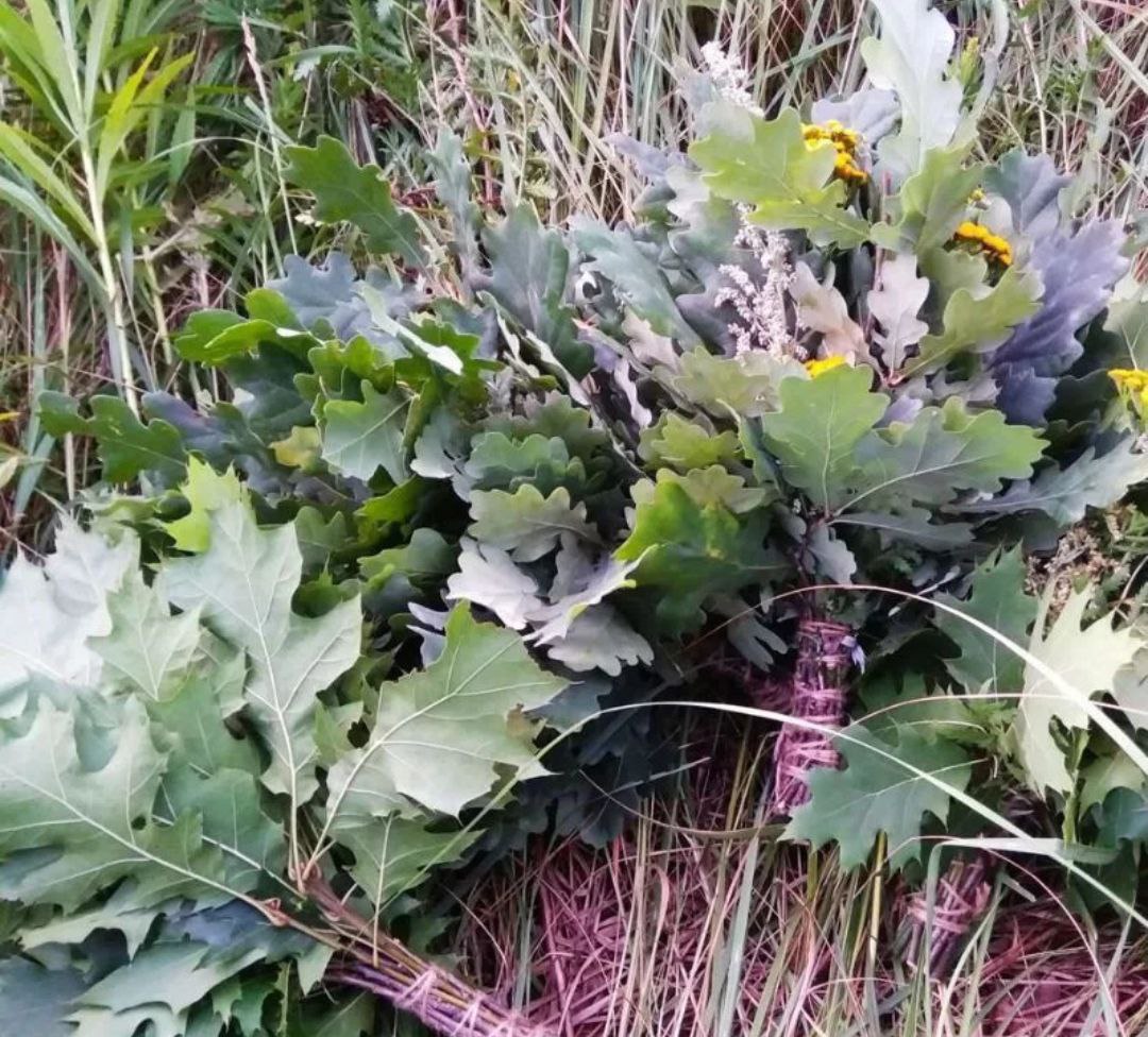 Веники дубовые - Хобби и отдых в Москва