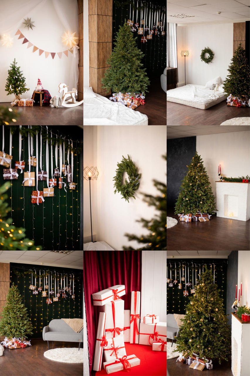 Новогодний фотодень с самоедами - Услуги в Барнаул