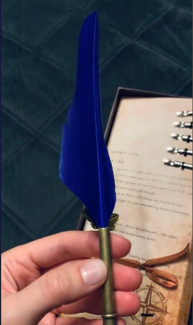 Перьевая ручка на подарок - Хобби и отдых в Новосибирск