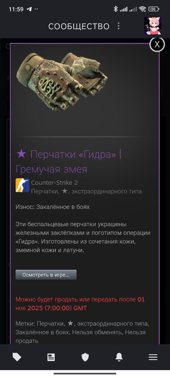 Продам аккаунт Стим с инвентарем - Электроника в Волгоград - фото 6