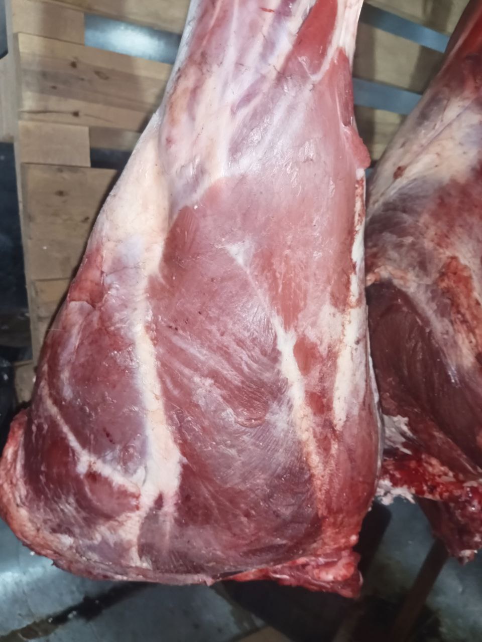 Продажа свежего мяса с эко фермы - Животные в Красноярск