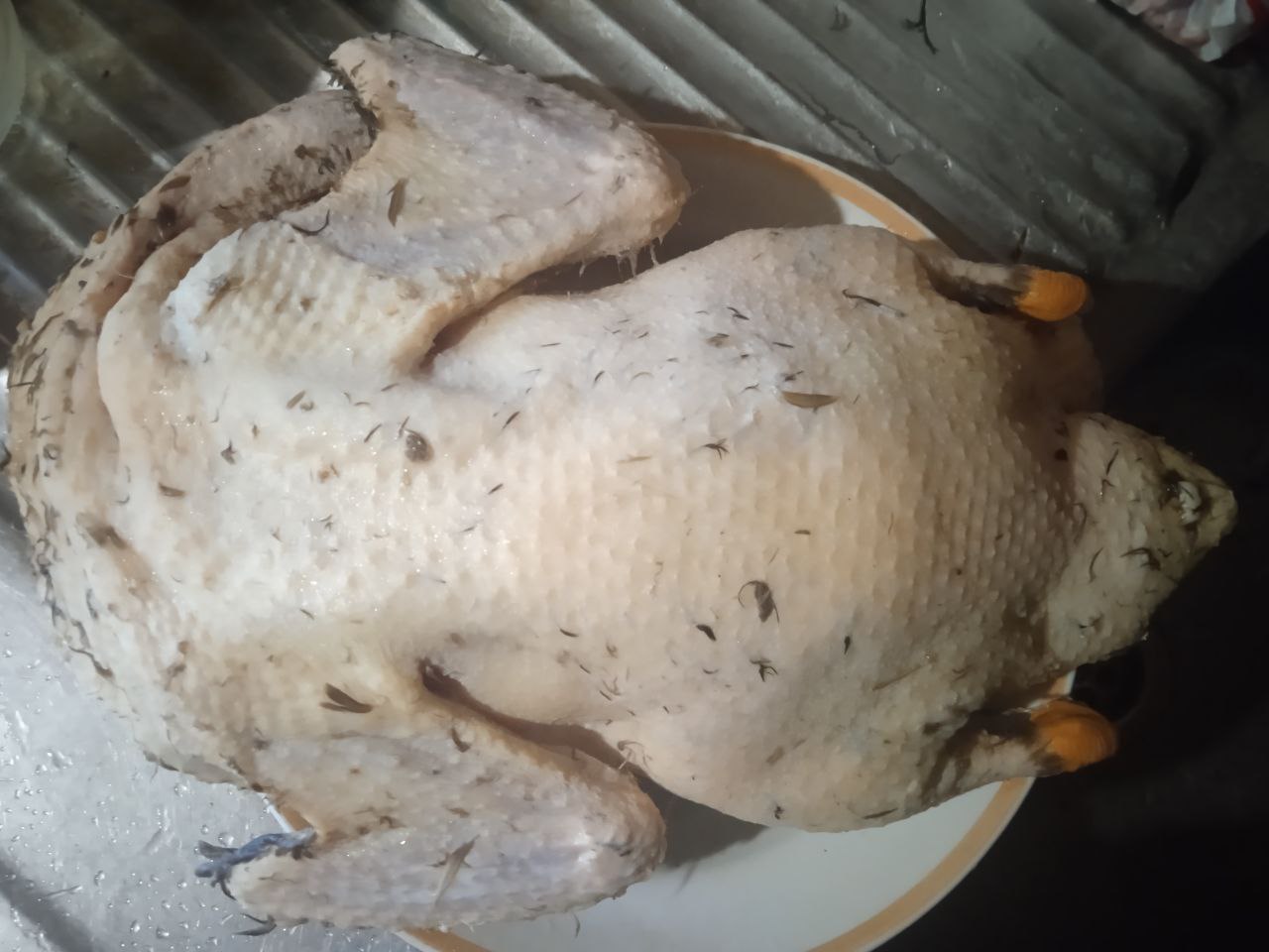 Мясо домашней утки - Животные в Красноярск - фото 2