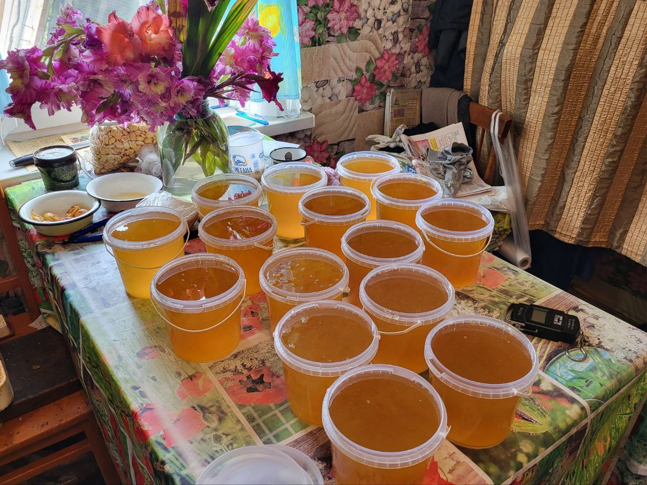 Свежий мёд урожай 2025 года - Для дома и дачи в Михайловка