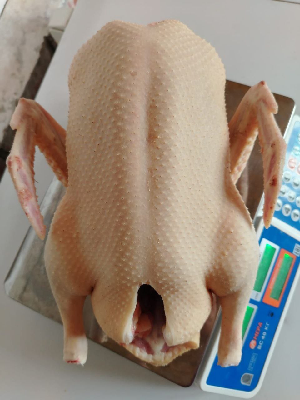 Продажа домашней птицы и копченостей - Животные в Орск - фото 3