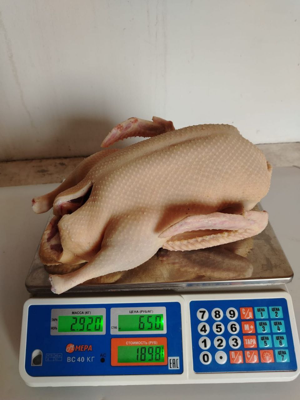 Продажа домашней птицы и копченостей - Животные в Орск - фото 4