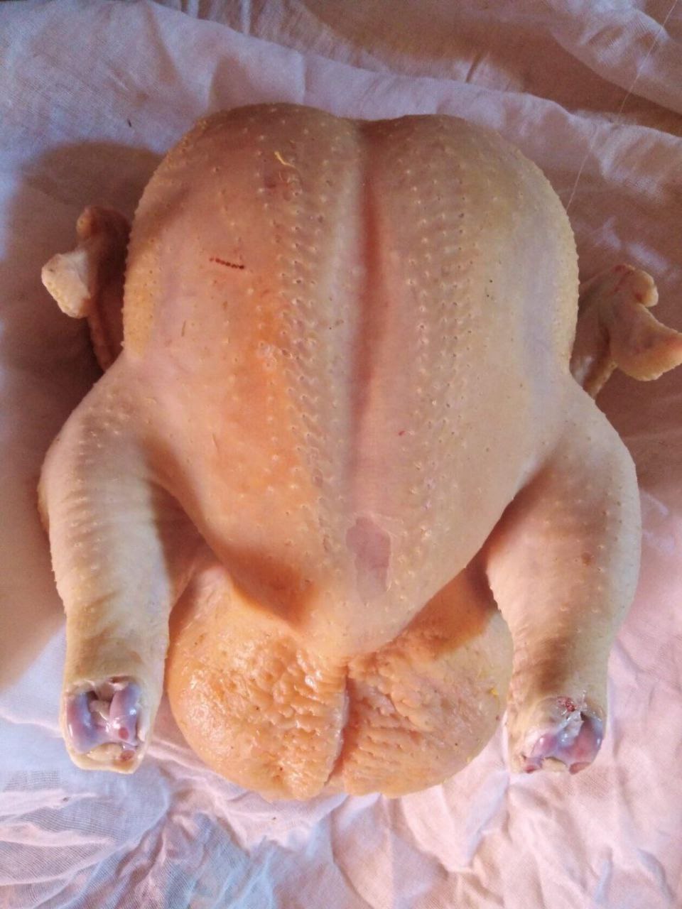 Продажа домашней птицы и копченостей - Животные в Орск - фото 5