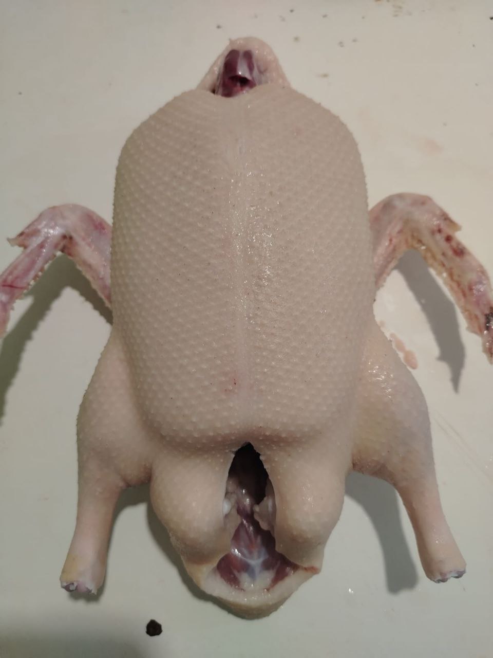 Продажа домашней птицы и мясных продуктов - Животные в Орск