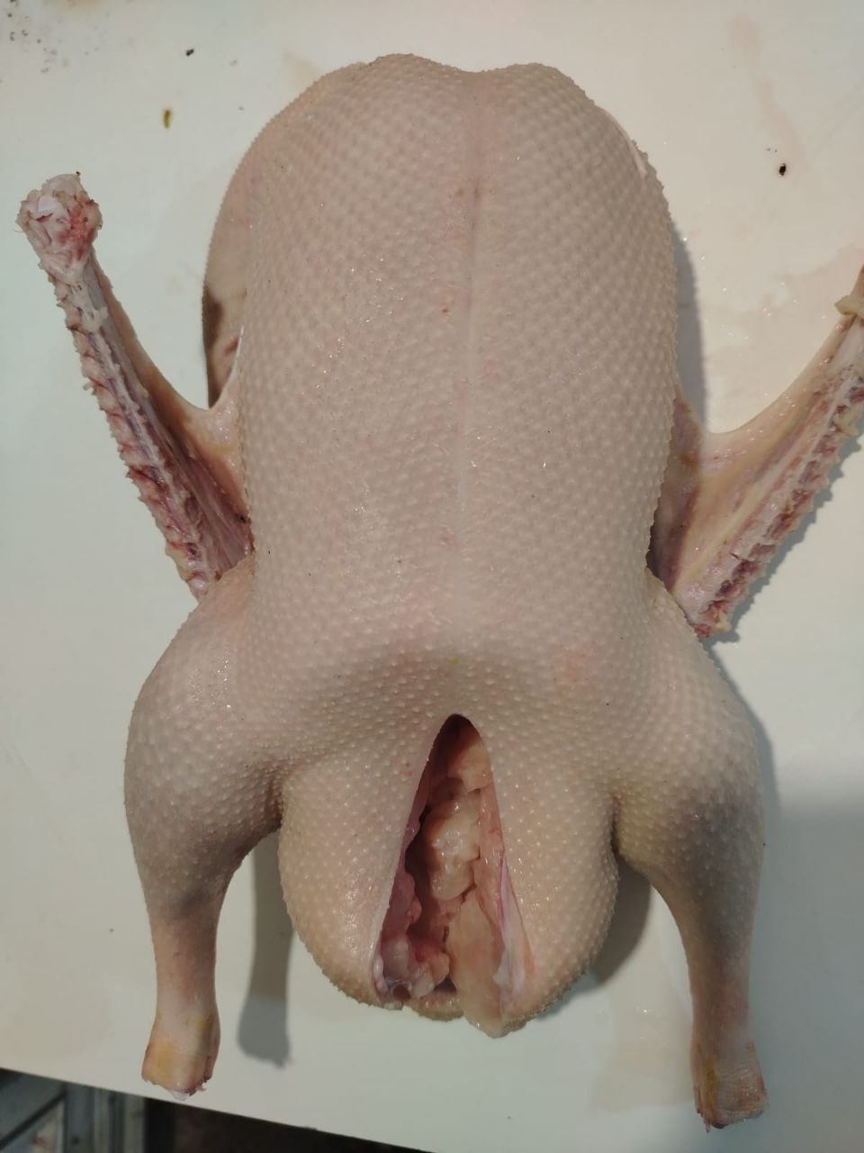 Продажа домашней птицы и мясных продуктов - Животные в Орск - фото 3