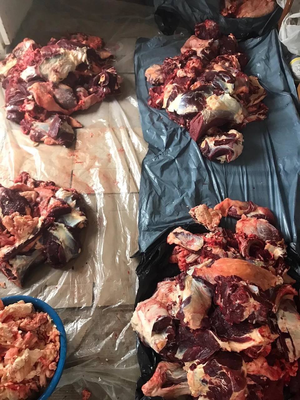 Продажа свежей говядины - частное объявление в Орск