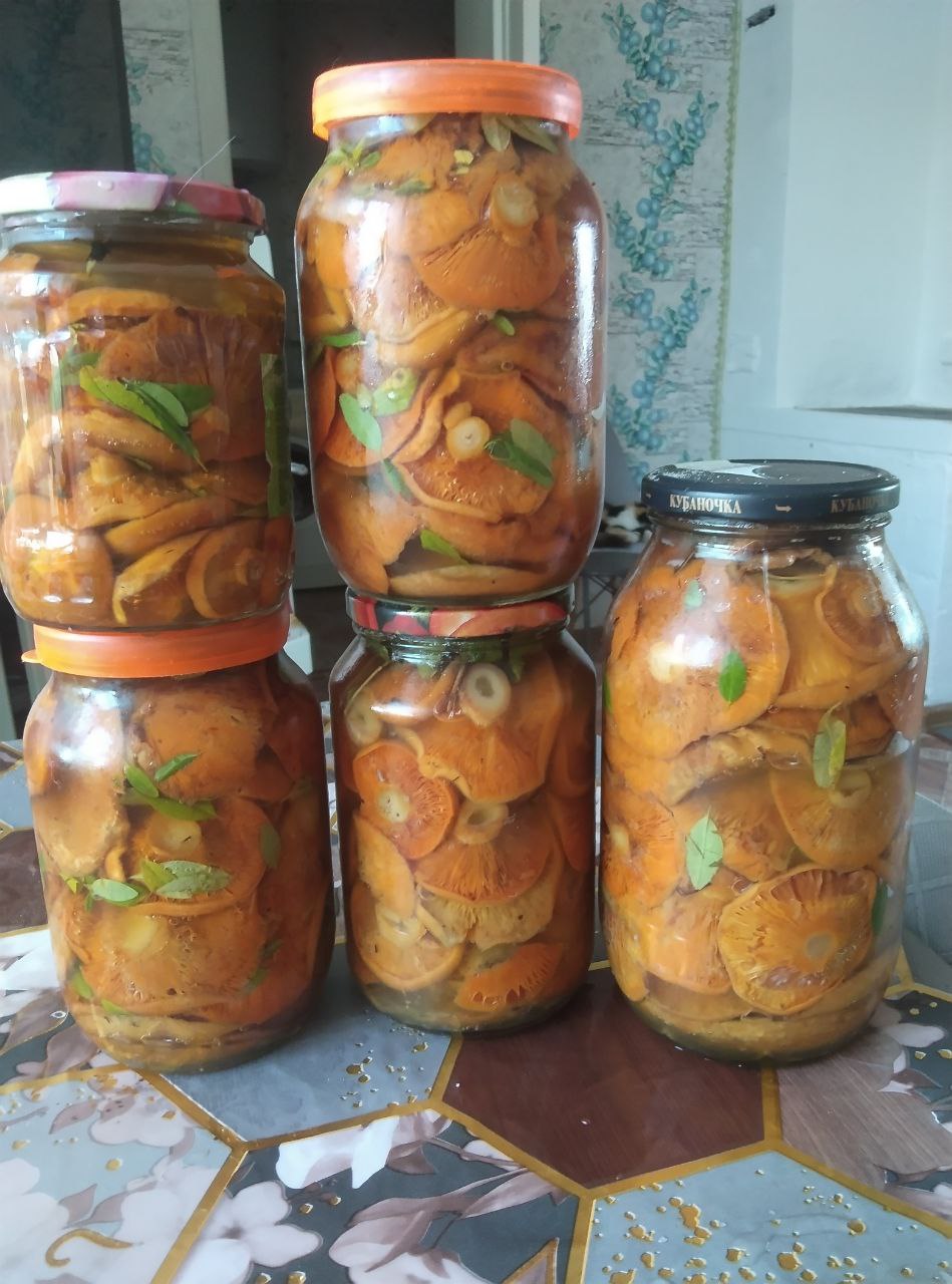 Продам домашние заготовки и консервацию - частное объявление в Улан-Удэ