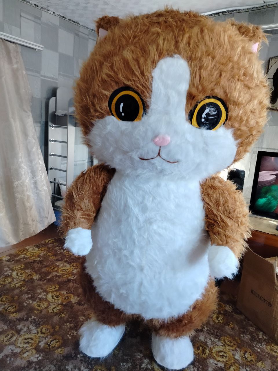 Экспресс поздравление от панды, мишки и кота - Услуги в Усть-Абакан - фото 4