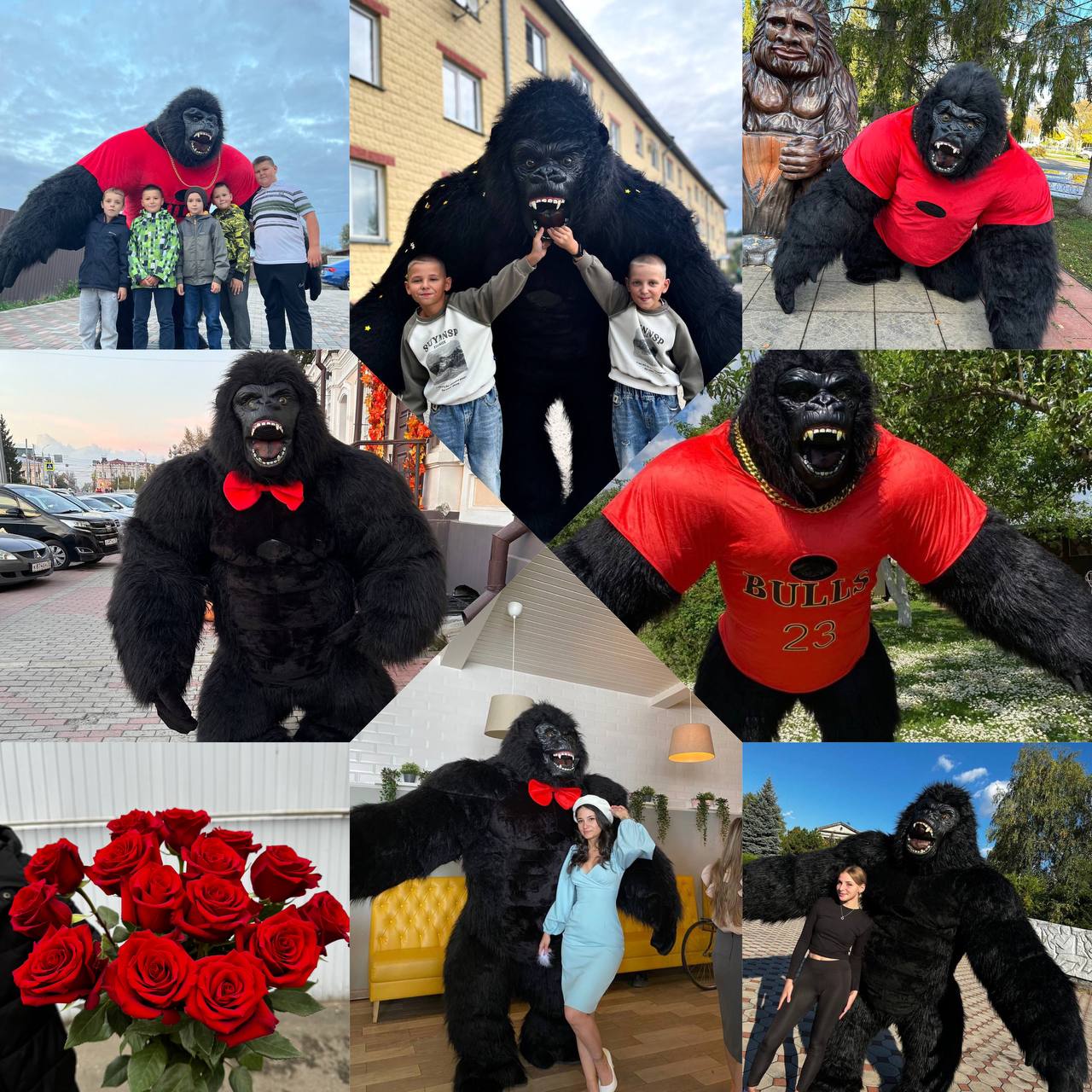Танцующая горилла Конга для праздников - Услуги в Белгородская область