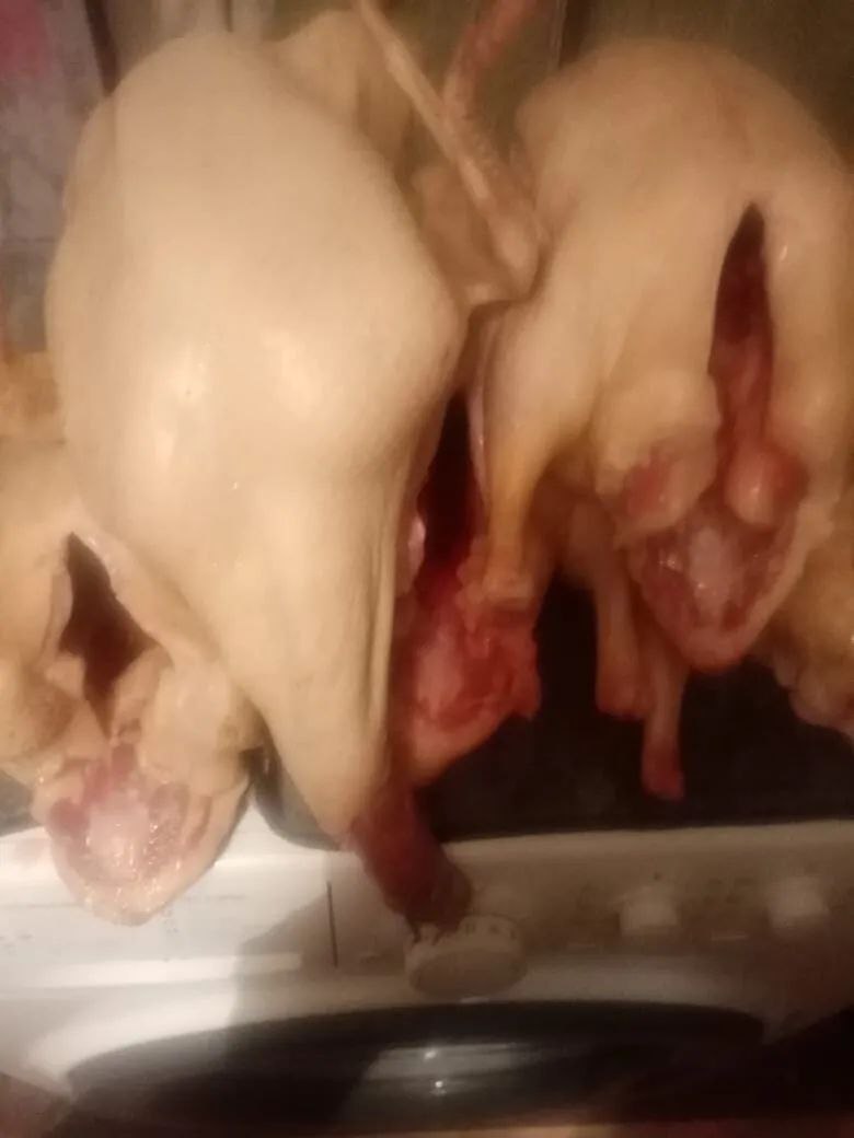 Щипание птицы - Услуги в Волгоград