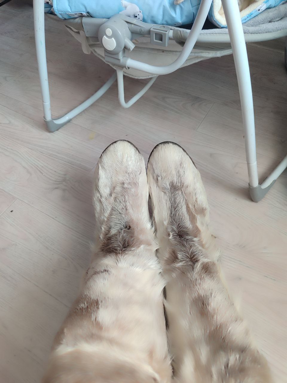 Продам натуральные унты - Одежда в Братск - фото 2