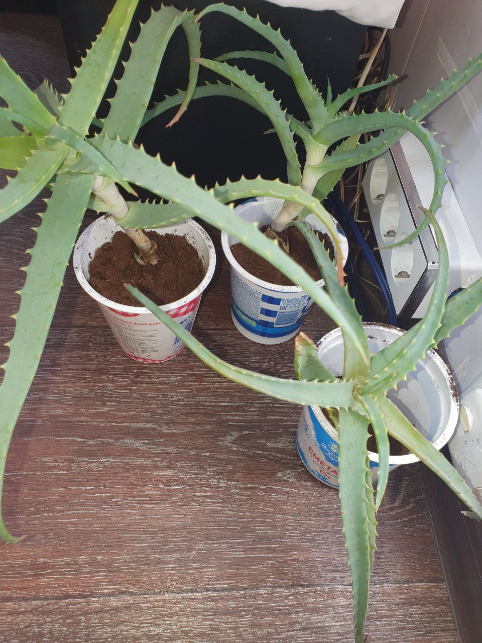 Продажа обуви и товаров - Одежда в Нижневартовск - фото 4