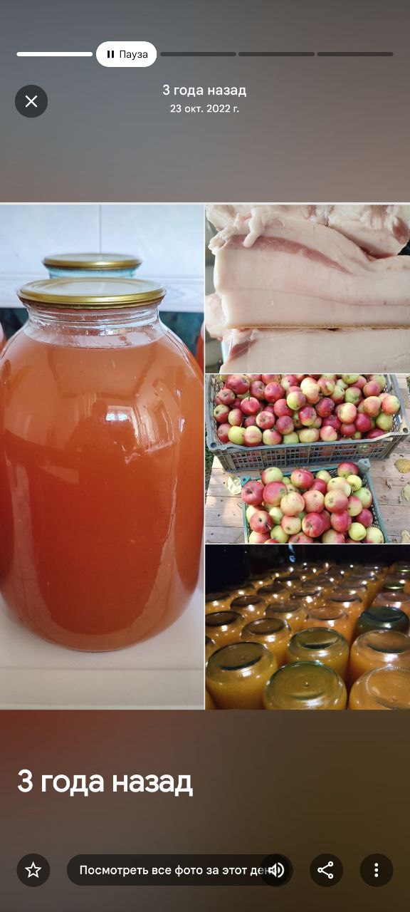 Сок яблочный натуральный из осенних яблок - Для дома и дачи в Самара