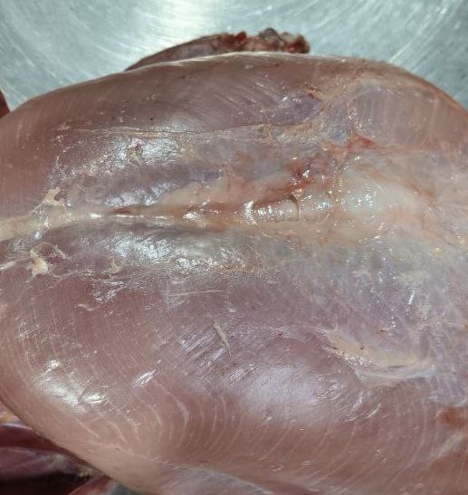 Продажа домашней индюшки - частное объявление в Самара