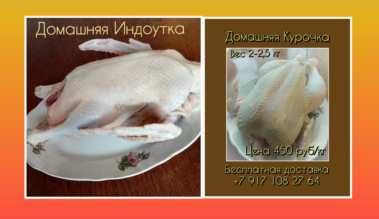 Мясо кур и индоуток домашнее деревенское - Животные в Самара