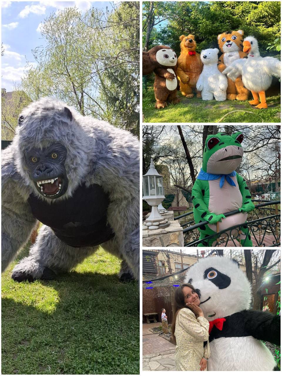 Поздравления от большого мишки - частное объявление в Энгельс-Саратов