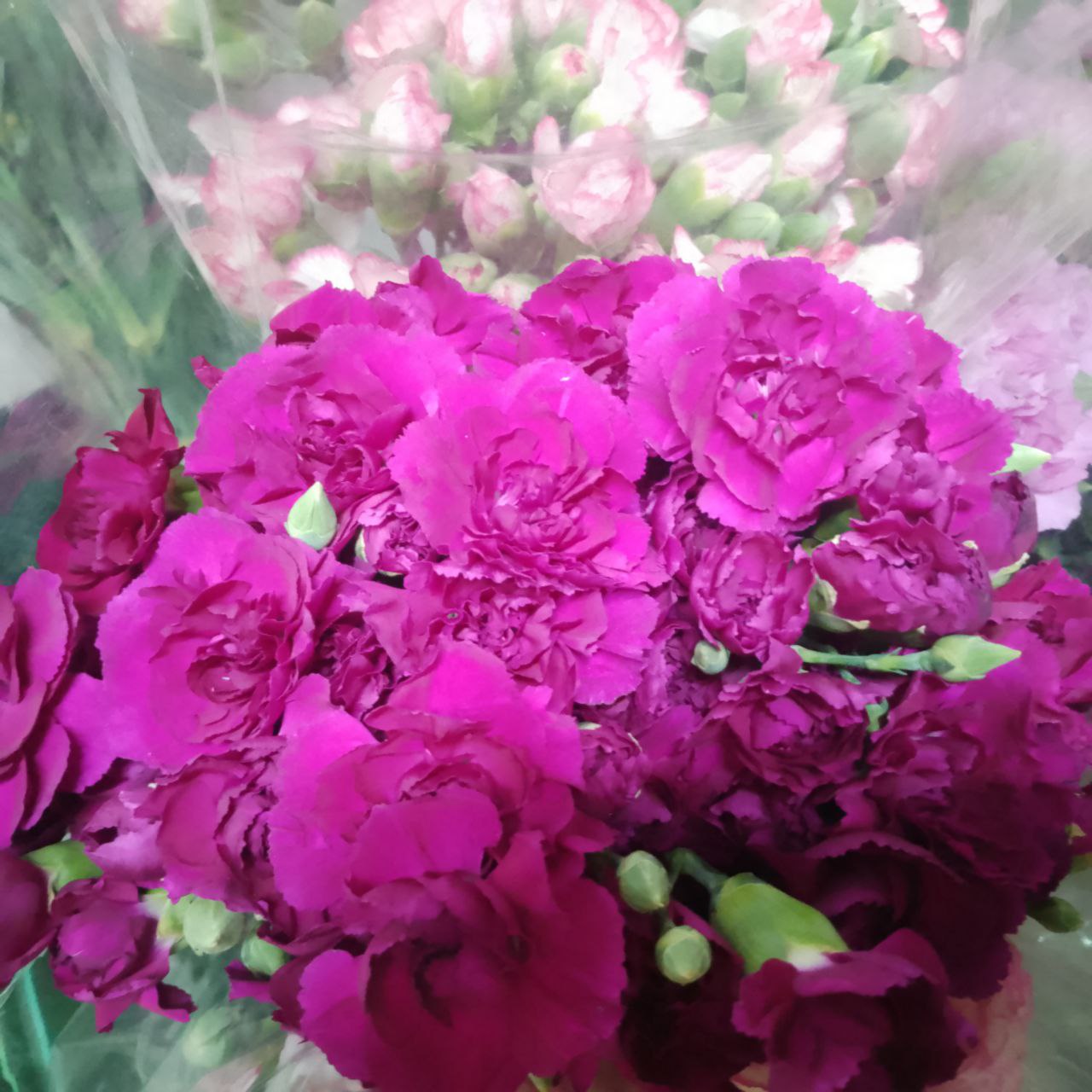 Цветы оптом в Саратове - Хобби и отдых в Саратов - фото 5