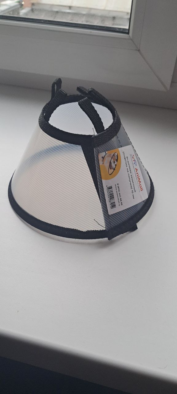 Продам конус защитный и свитер кошечка - Животные в Тюмень