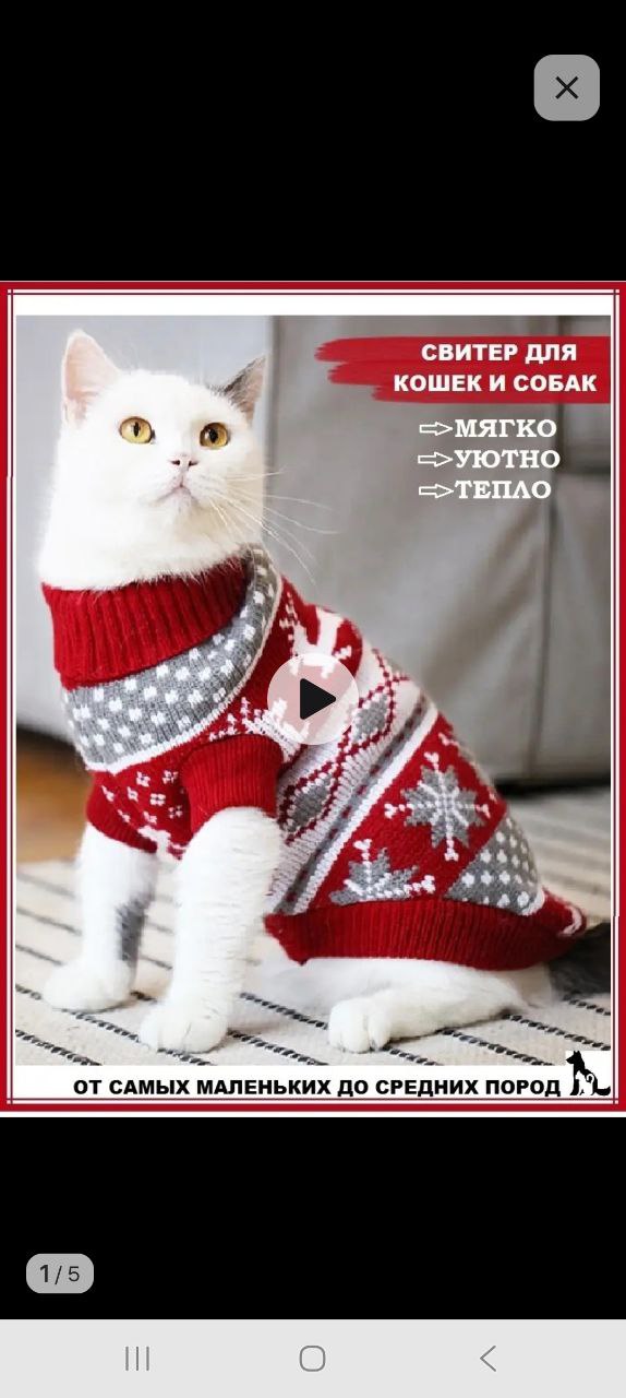 Продам конус защитный и свитер кошечка - Животные в Тюмень - фото 2