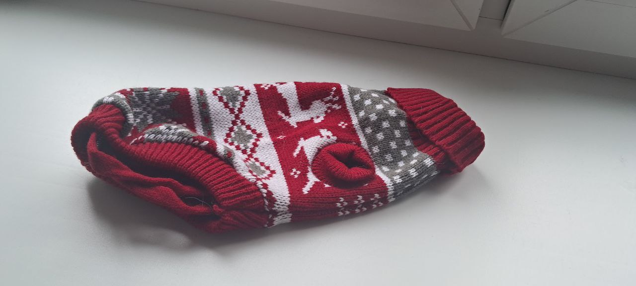 Продам конус защитный и свитер кошечка - Животные в Тюмень - фото 3