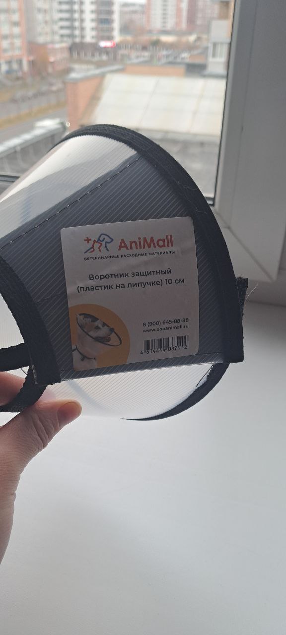 Продам конус защитный и свитер кошечка - Животные в Тюмень - фото 4