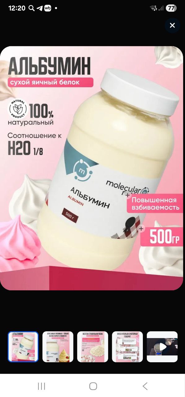 Продажа белка в Южном районе - Животные в Новороссийск - фото 2