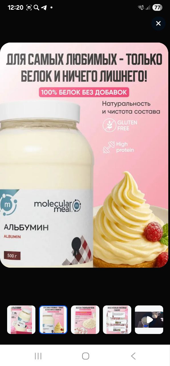 Продажа белка в Южном районе - Животные в Новороссийск - фото 3