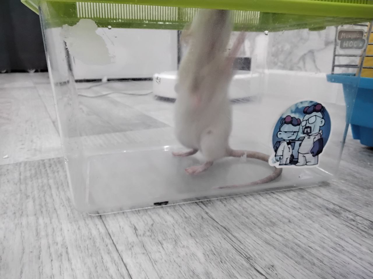 Продам клетку для крыс и хомяков - Животные в Нижневартовск - фото 4