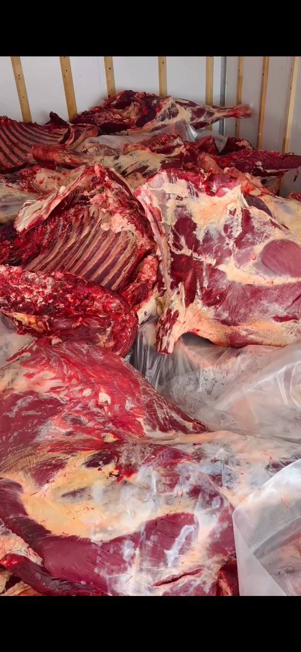 Продажа говядины и красной икры - Хобби и отдых в Чита - фото 3