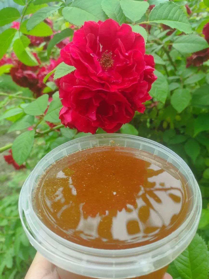 Мёд и медовые соты с пасеки - частное объявление в Саратов