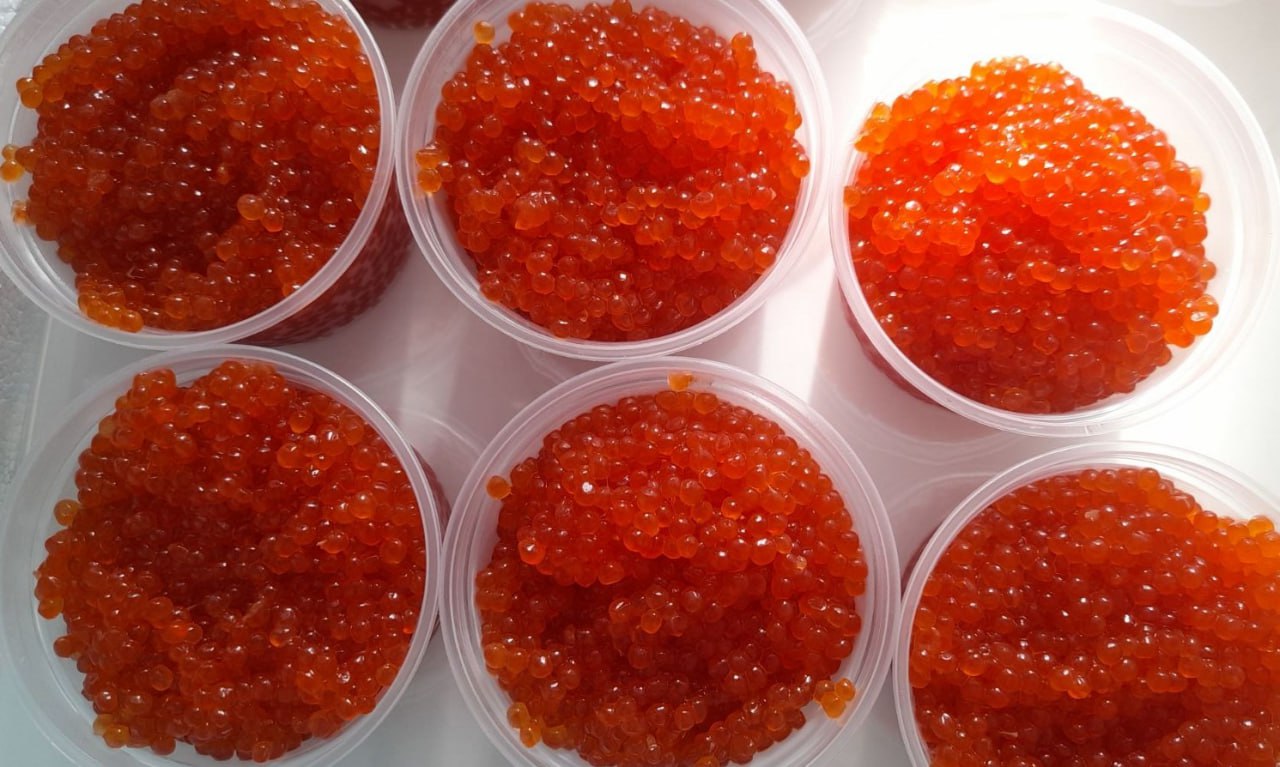 Свежий приход икры кеты - частное объявление в Нижневартовск