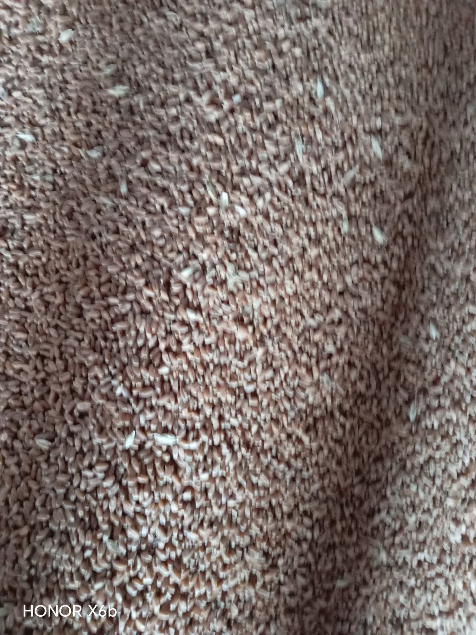 Продам комбикорм для кур и пшеницу - Для дома и дачи в Ульяновск - фото 3