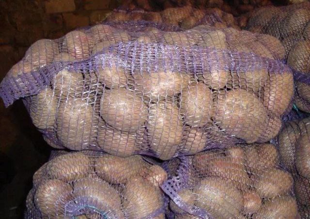 Продажа крупной картошки из деревни - частное объявление в Чебоксары, Новочебоксарск