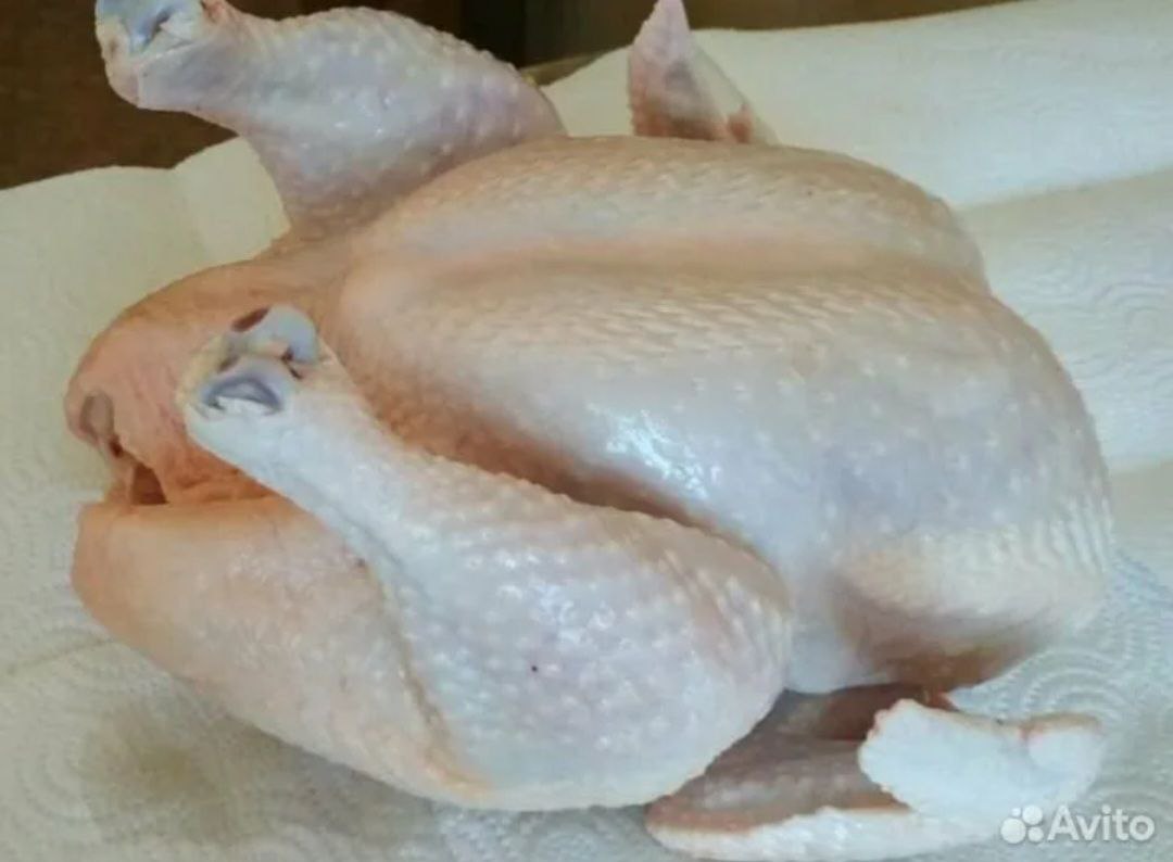 Продажа мяса домашних бройлеров - Животные в Чебоксары