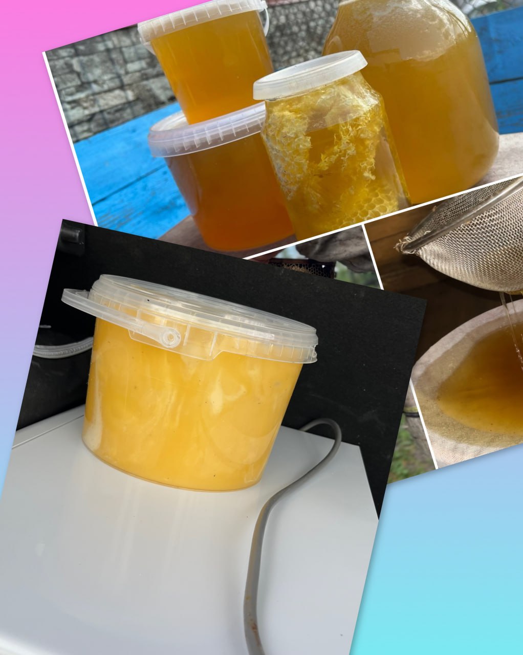 Продаю мёд разнотравье - частное объявление в Чебоксары